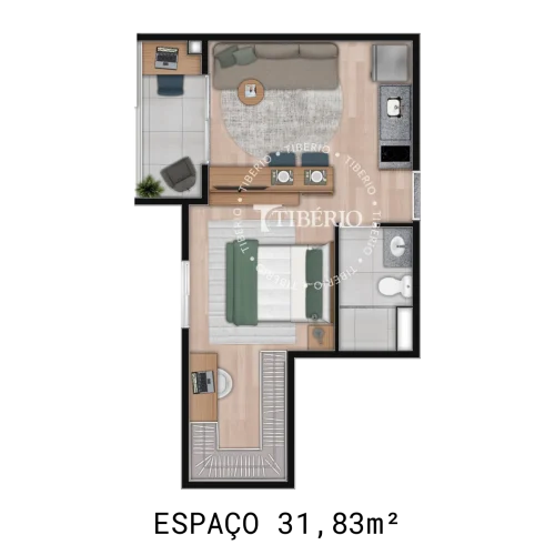 asset 3