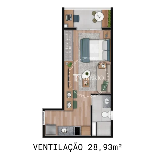 asset 6